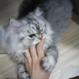 Secret